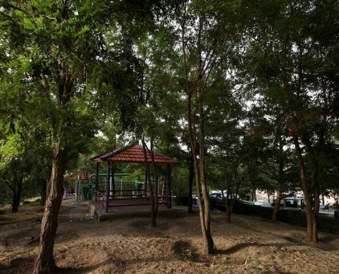 پارک جنگلی صائب تبریزی
